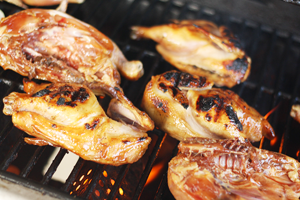 #ad Orange Teriyaki Chicken Marinade + Cornish Hens | chaosandlove.com